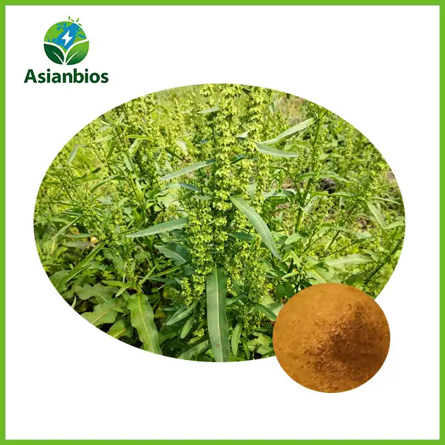 Rhubarb Extract Powder